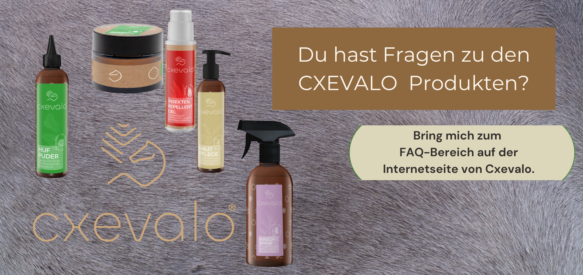 FAQ Cxevalo