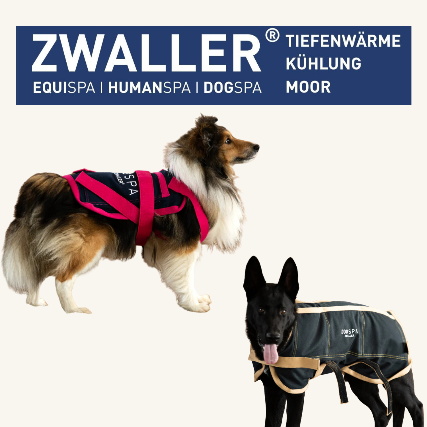 DOGSPA ZWALLER® für Hunde – Tiefenwärme, Kühlung & Moor für Hundemuskeln & Gelenke. Jetzt bei imFUTTERSACK Schweiz bestellen.