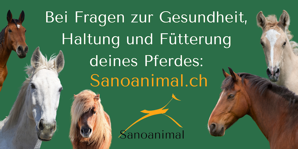 Sanoanimal.ch