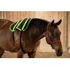 EQUISPA Zwaller All-in-One Taschenelement 4​