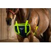 EQUISPA ZWALLER Brustelement am Pferd