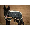 DOGSPA ZWALLER®  Hundedecke Grösse3