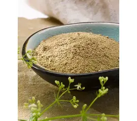 OKAPI ColoProtect forte–Verdauung 850g | imFUTTERSACK UNTERSTÜTZT DAS NATÜRLICHE DARMMILIEU