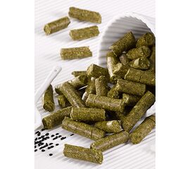 biostickies Schwarzkümmel 3kg – Bio-Pferdeleckerli | imFUTTERSACK