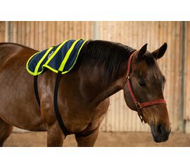 EQUISPA Zwaller All-in-One Taschenelement 4​