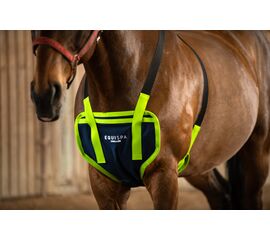 EQUISPA ZWALLER Brustelement am Pferd