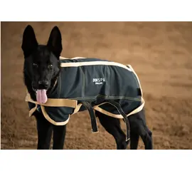 DOGSPA ZWALLER®  Hundedecke Grösse3