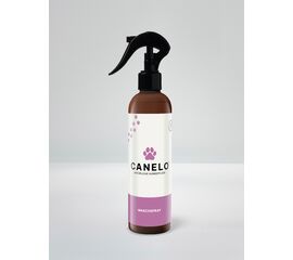CANELO Waschspray – Hund reinigen ohne Baden | imFUTTERSACK