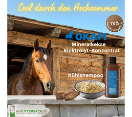 mit OKAPI und CXEVALO cool durch den Hochsommer