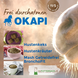 Pferd atmet in die kalte Winterluft im Stallzeit-Licht, mit OKAPI Mash BronchoFit, Hustenkräutern und Hustenkeksen – Atemwege-Bundle imFUTTERSACK
