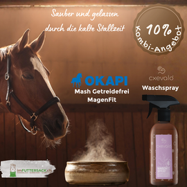 Pferd ruhig in der Box am Wintertag, mit CXEVALO Waschspray und OKAPI Mash Getreidefrei MagenFit – Stallzeit-Bundle imFUTTERSACK