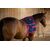 EQUISPA ZWALLER all-in-one Taschenelement 8
Widerrist