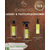CXEVALO Leder- & Textilpflegekombi – 3er-Set | imFUTTERSACK