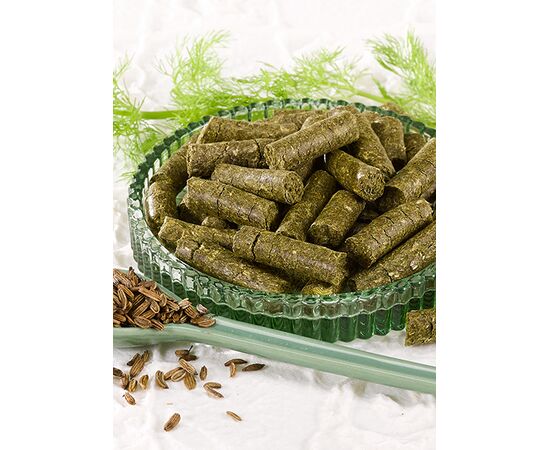 biostickies Fenchel 3kg – Bio-Pferdeleckerli | imFUTTERSACK