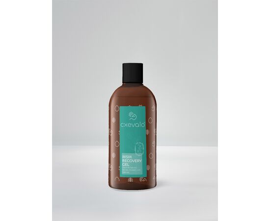 CXEVALO MSM Gel 500ml – MSM & Teufelskralle | imFUTTERSACK