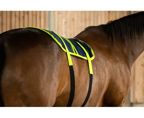 EQUISPA Zwaller All-in-One Taschenelement 4​
Rücken