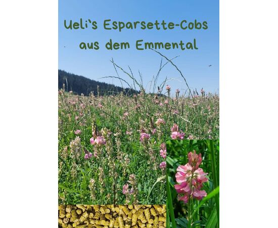 Ueli's Esparsette-Cobs 20kg – einmalig | imFUTTERSACK