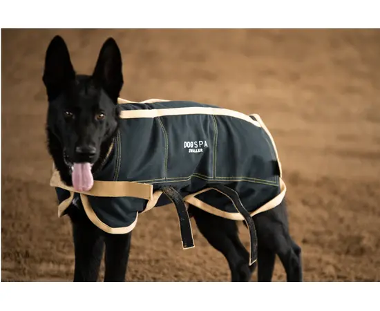 DOGSPA ZWALLER®  Hundedecke Grösse3