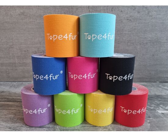 Tape4Fur® Kinesiotape Large 7.5cm in orange– klebt auf Fell & bei Regen, für Pferd & Hund. Von Katja Bredlau-Morich entwickelt. Bei imFUTTERSACK bestellen.