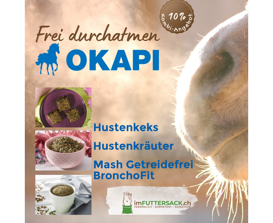 Pferd atmet in die kalte Winterluft im Stallzeit-Licht, mit OKAPI Mash BronchoFit, Hustenkräutern und Hustenkeksen – Atemwege-Bundle imFUTTERSACK