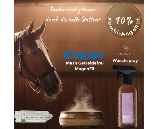 Pferd ruhig in der Box am Wintertag, mit CXEVALO Waschspray und OKAPI Mash Getreidefrei MagenFit – Stallzeit-Bundle imFUTTERSACK
